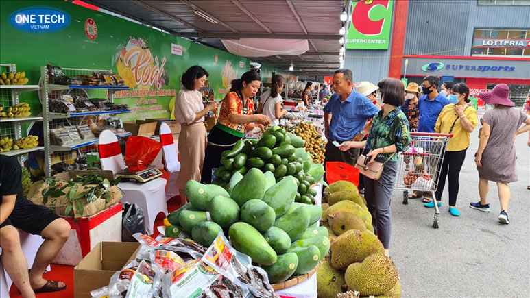 Quầy trưng bày nông sản sạch tại cửa hàng địa phương Quầy hàng nông sản sạch với rau củ quả tươi ngon được sắp xếp gọn gàng trong cửa hàng