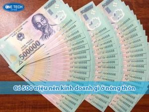 Có 500 triệu nên kinh doanh gì ở nông thôn