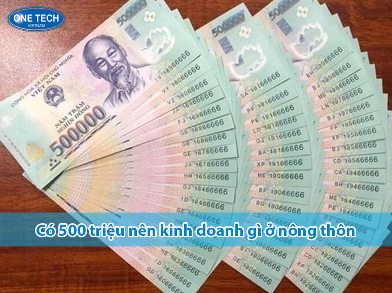 Có 500 triệu nên kinh doanh gì ở nông thôn