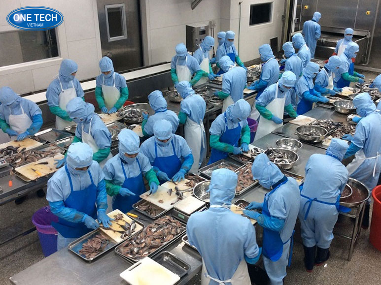 Kinh doanh tuyển dụng và cung ứng lao động tại khu công nghiệp hiệu quả Nhân viên tuyển dụng và quản lý lao động làm việc tại văn phòng khu công nghiệp