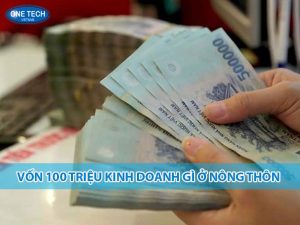 Mô hình kinh doanh nhỏ với vốn 100 triệu tại vùng nông thôn – trồng rau sạch, chăn nuôi gà thả vườn và bán hàng tạp hóa