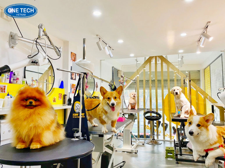 Kinh doanh chăm sóc thú cưng – Xu hướng dẫn đầu 5 năm tới Nhân viên đang tắm cho một chú chó nhỏ trong tiệm spa thú cưng hiện đại – xu hướng kinh doanh thịnh hành đến năm 2030