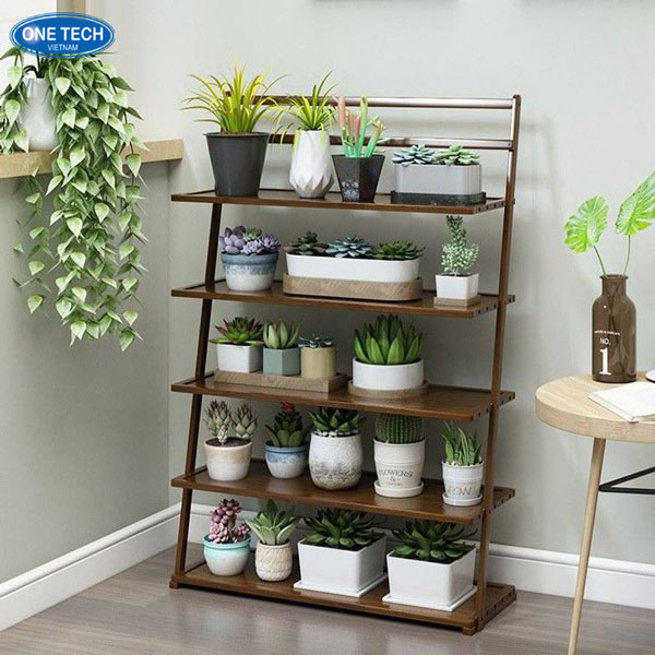 Kệ sen đá trang trí góc học tập và làm việc đầy cảm hứng Kệ trưng bày sen đá nhỏ để bàn, giúp tạo điểm nhấn cho không gian cá nhân