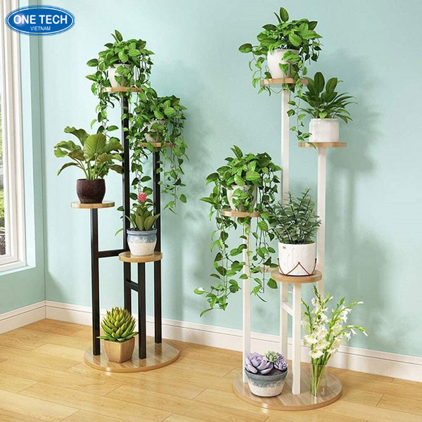 Mẹo trưng bày sen đá đẹp mắt và hợp lý trong không gian sống Cách sắp xếp sen đá khoa học, đẹp mắt trên kệ trưng bày nhỏ gọn, dễ ứng dụng